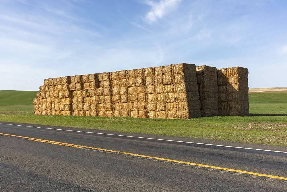 Large stack of hay bales in a field by a road