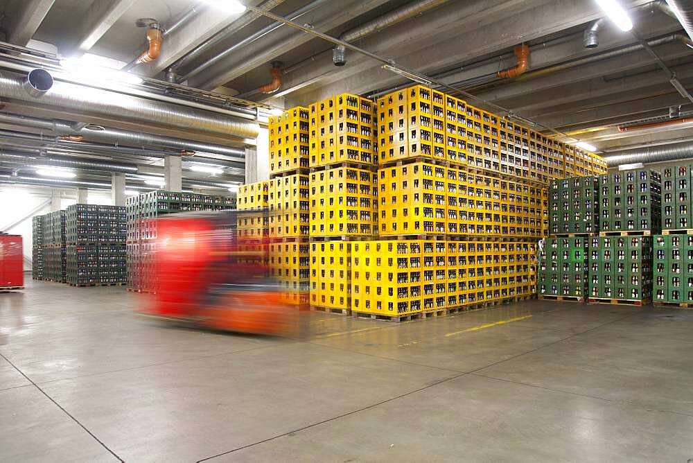 Warehouse, cartons and boxes of beer