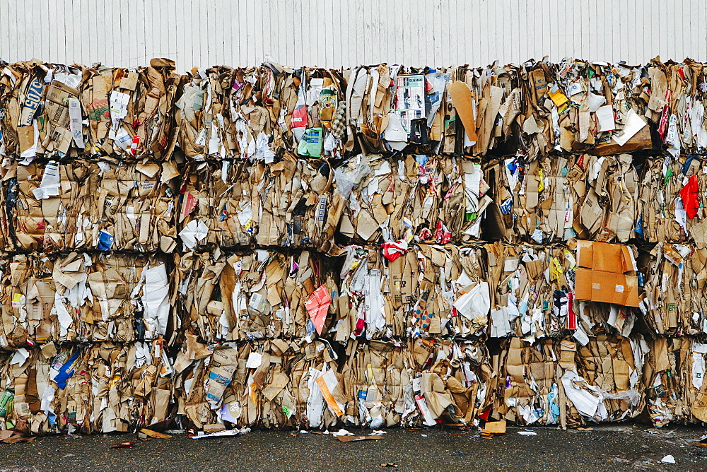 Recycling facility with bundles of cardboard sorted and tied up for recycling, Washington state, USA