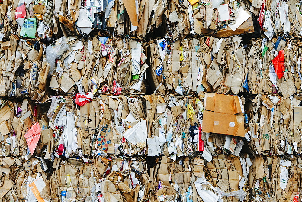 Recycling facility with bundles of cardboard sorted and tied up for recycling, Washington state, USA