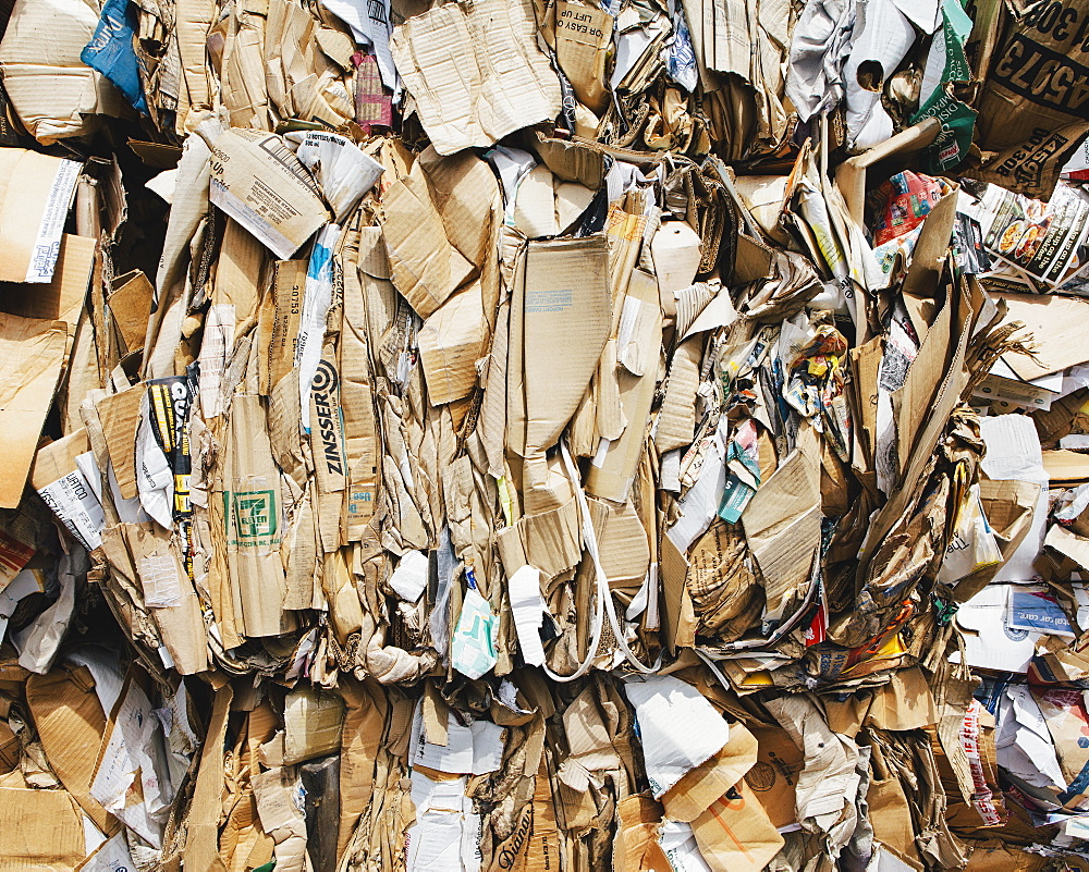 Recycling facility with bundles of cardboard sorted and tied up for recycling, Washington state, USA