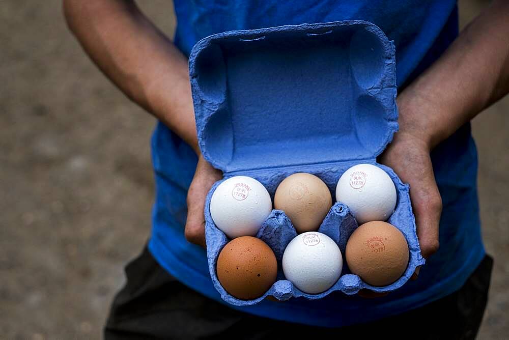 Close up of person holding blue carton of brown and white eggs.