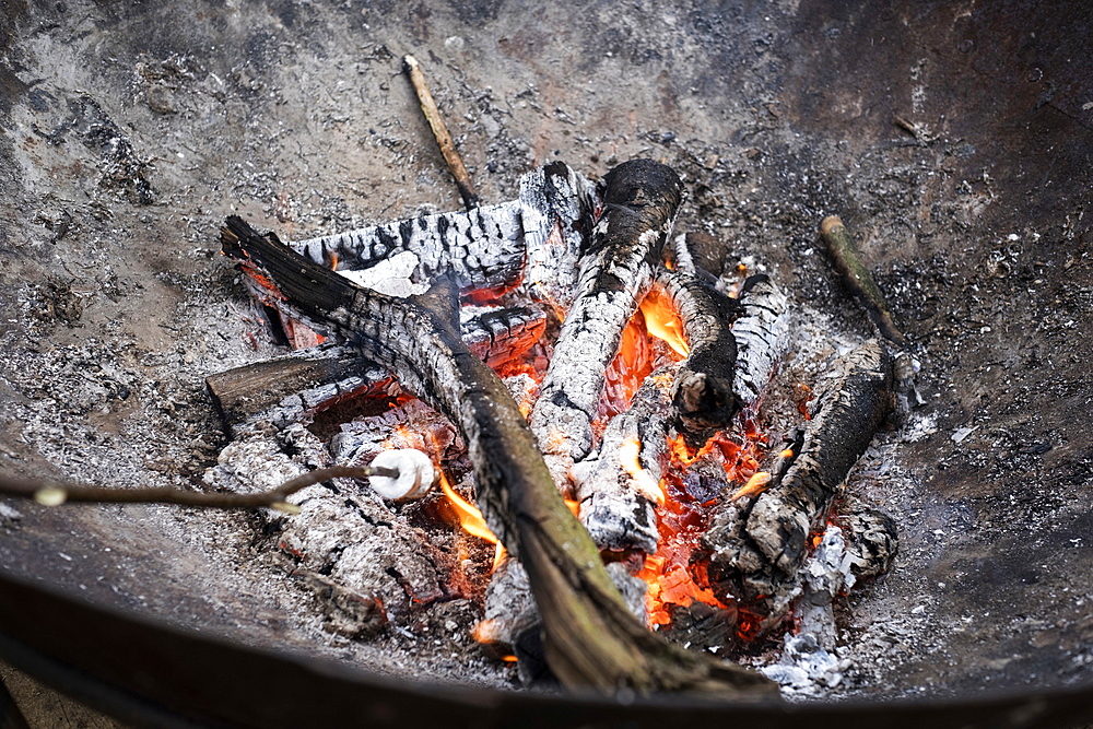 Close up of marshmallow roasted over a fire pit