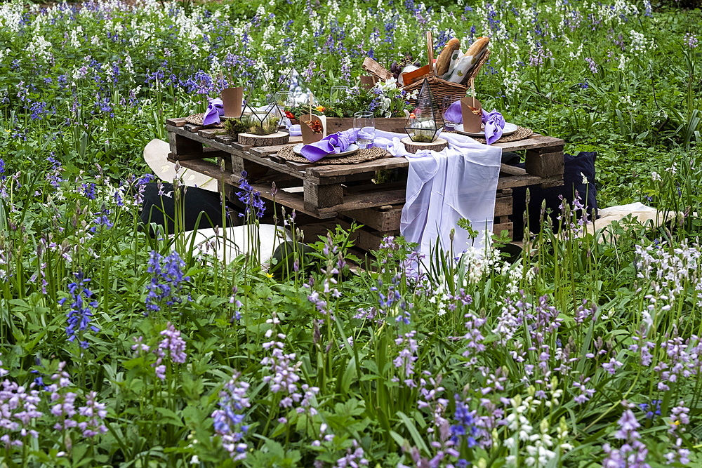 Rustic picnic table with food in a spring meadow for a woodland naming ceremony.