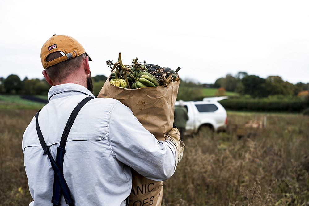 Farmer walking in a field, carrying paper bag with freshly picked gourds.