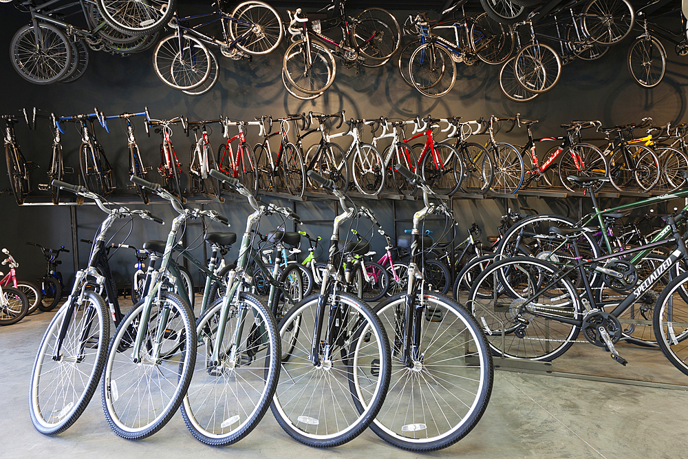 Cycle repair shop interior, rows of bicycles.