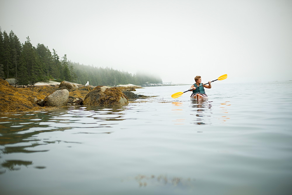 A man paddling a kayak on calm water in misty conditions. New York State, USA, New York state, USA