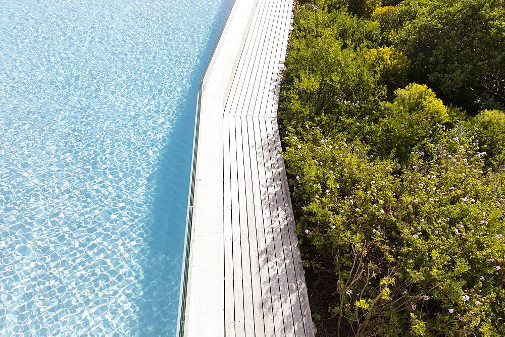 Aerial view of a swimming pool with a paved edge and plants in a garden, Stanford, Western Cape, South Africa