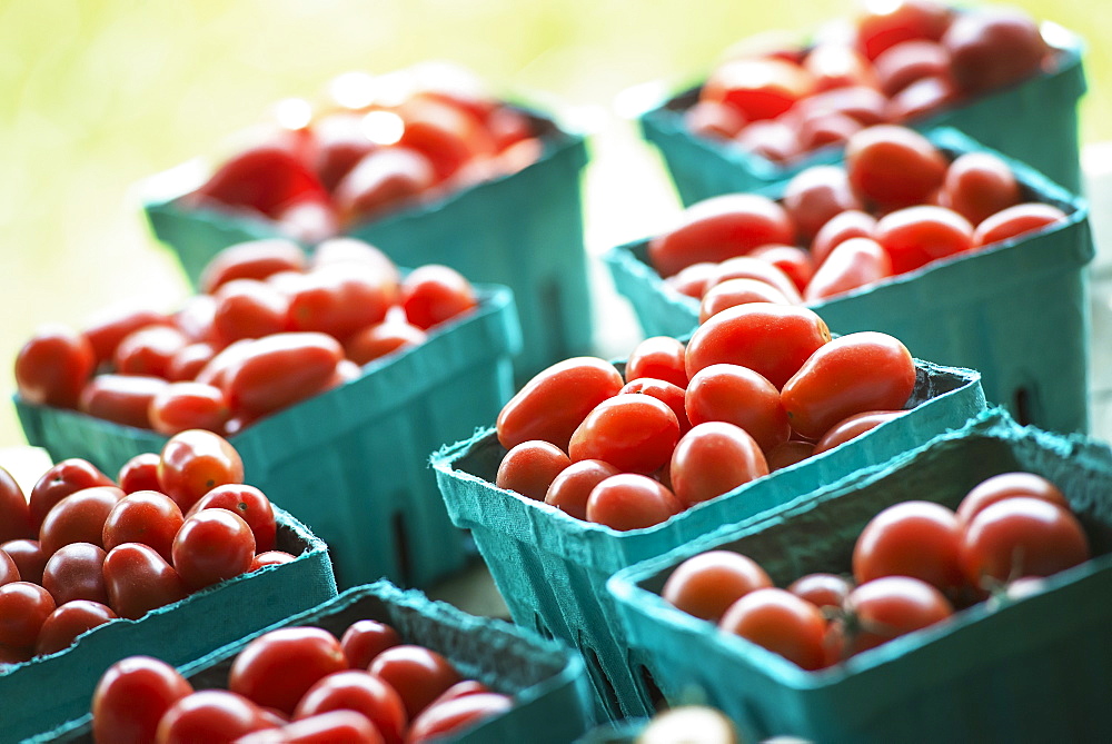 Organic red cherry tomatoes in boxes on a market stall, Woodstock, New York, USA