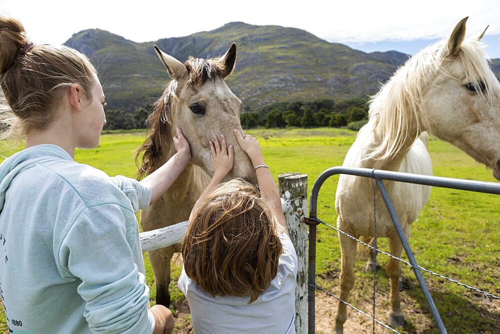 A boy and his teenage sister stroking and patting horses in a paddock, Stanford, Western Cape, South Africa