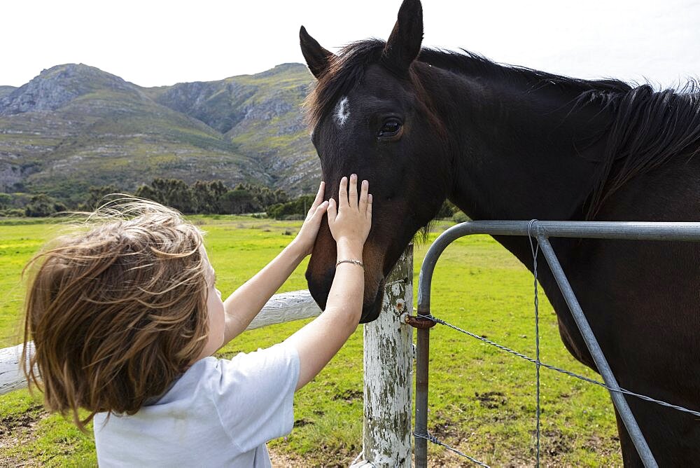 Eight year old boy patting a horse in a field, Stanford, Western Cape, South Africa