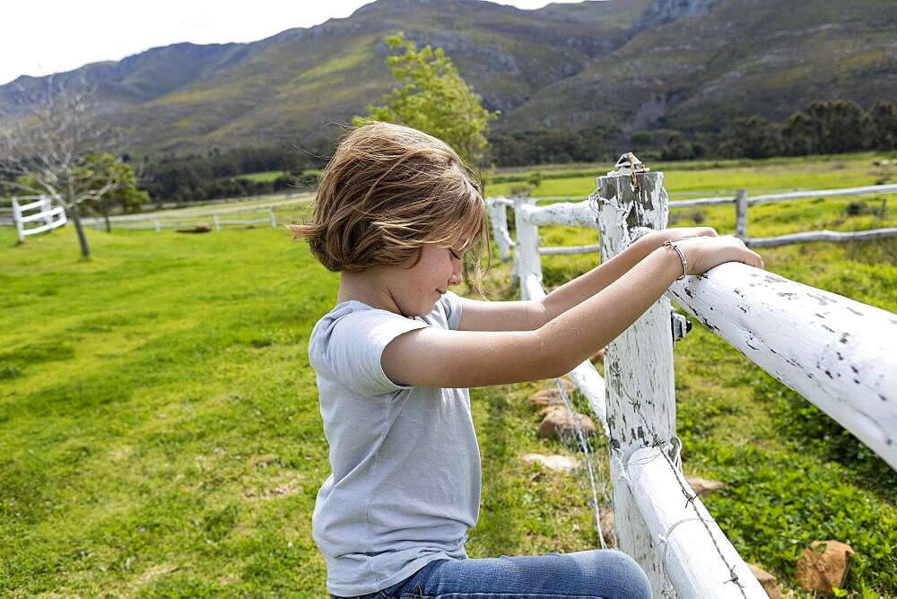 Eight year old boy leaning on a fence, looking at horses in a field, Stanford, Western Cape, South Africa