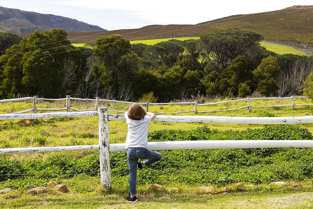 Eight year old boy leaning on a fence, looking at horses in a field, Stanford, Western Cape, South Africa