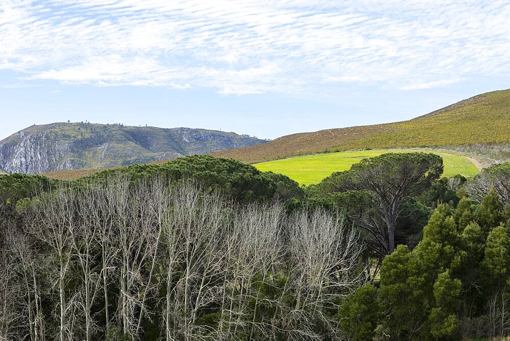 Landscape in a flat plain and view to the Klein mountains, Stanford, Western Cape, South Africa