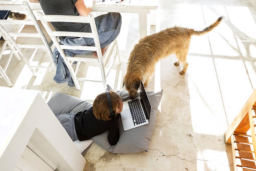 Eight year old boy, chin on hands, watching a laptop screen, a curious dog nuzzling the keyboard, Stanford, South Africa