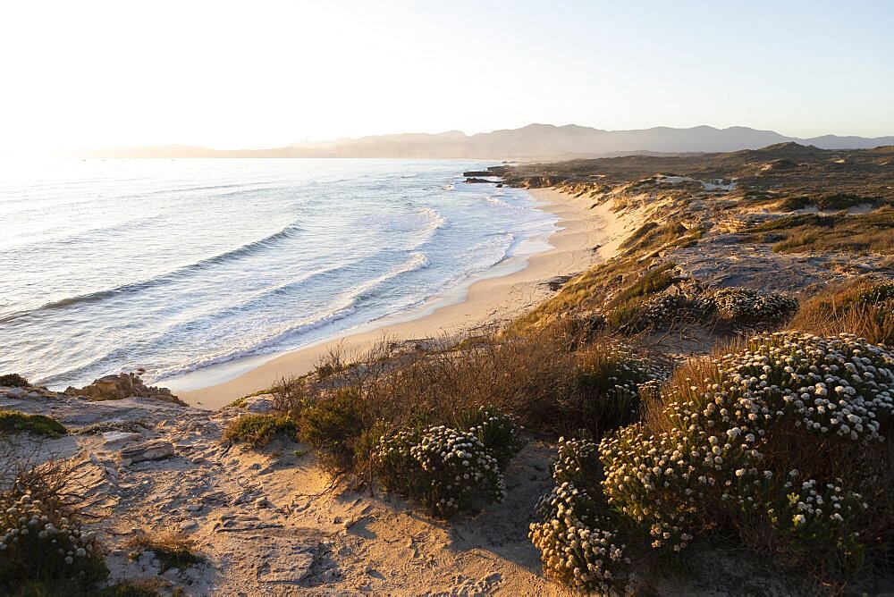 View from the cliffs over the sandy beach and waves breaking on shore, Walker Bay Nature Reserve, South Africa