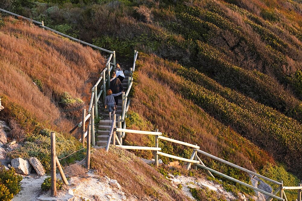 family climbing stairs, Walker Bay Reserve, South Africa, Walker Bay Nature Reserve, South Africa