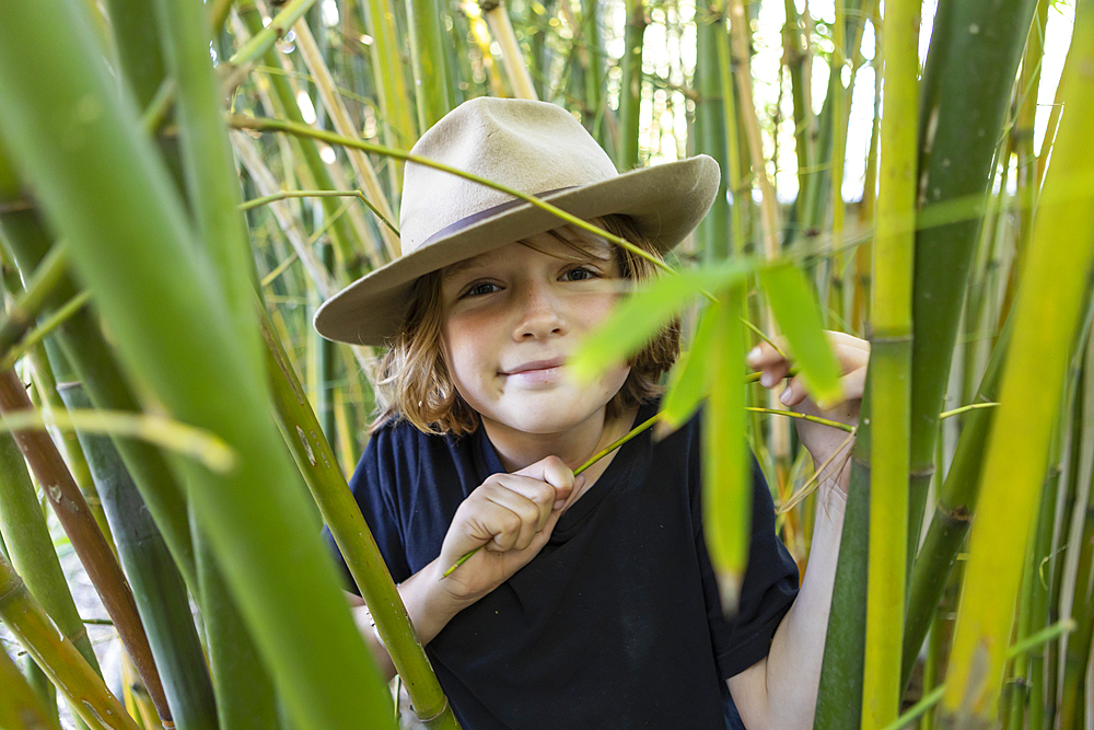 Young boy in bamboo forest, Western Cape, South Africa.