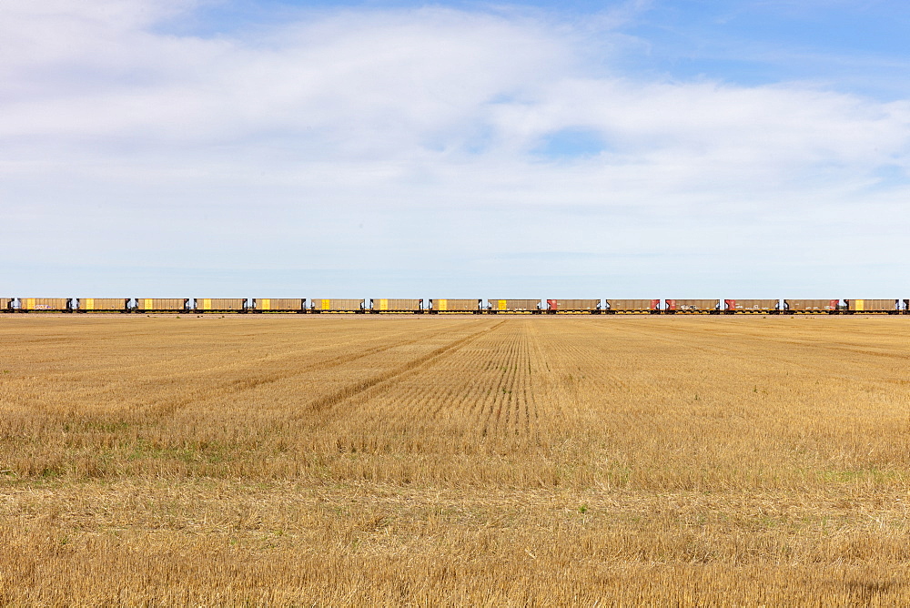 View across a stubble field and the long line of yellow boxcar wagons of a freight train on the horizon line.