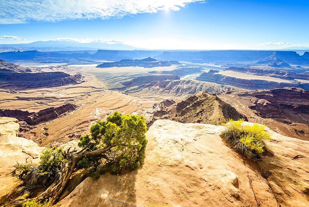 View from above of the messas and rock formations of Canyonlands National Park, and view to Horseshoe Bend and the Colorado River