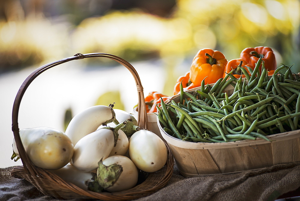 Organic Vegetable on Display; Organic White Eggplant; Green Beans; Yellow and Red Bell Peppers, Woodstock, New York, USA