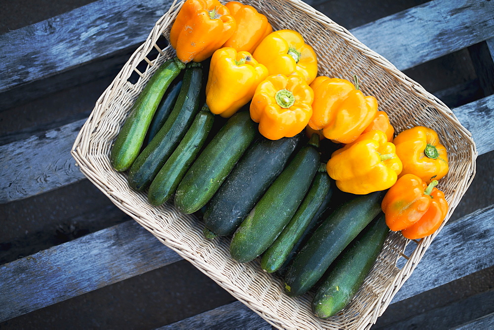 Organic Zucchini in basket with Yellow and Orange Bell Peppers, Woodstock, New York, USA