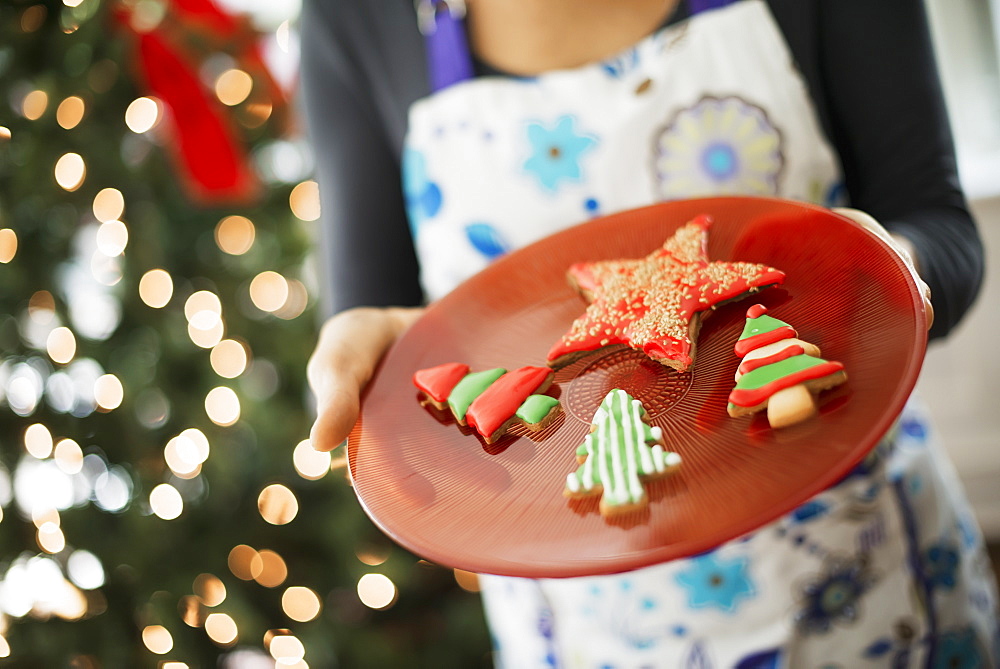 A woman wearing an apron holding a plate of organic decorated Christmas cookies, Woodstock, New York, USA