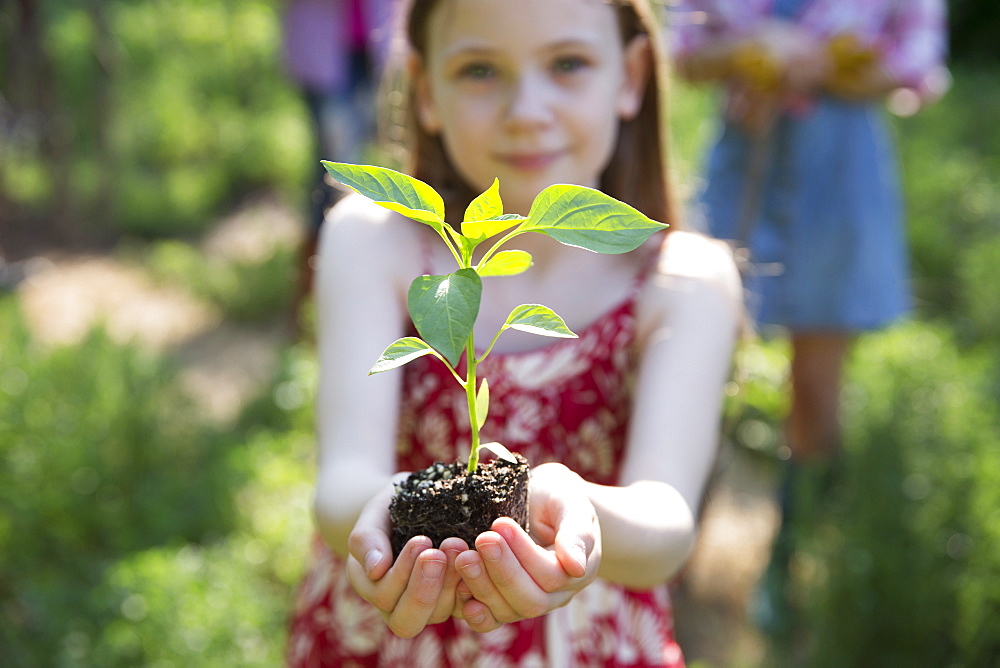 A woman and a child working together in a garden. A young girl holding a young plant with green foliage and a healthy rootball in her hands.