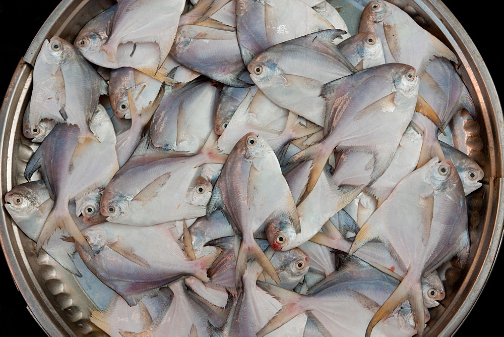 Outdoor market stall in Yangon, Myanmar. Fresh fish in a basket, Yangon, Myanmar