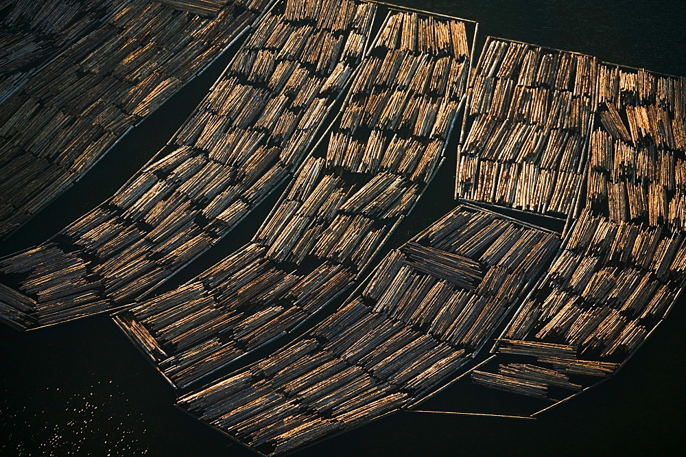 Logs awaiting export, Skagit County, Washington, Skagit County, Washington, USA