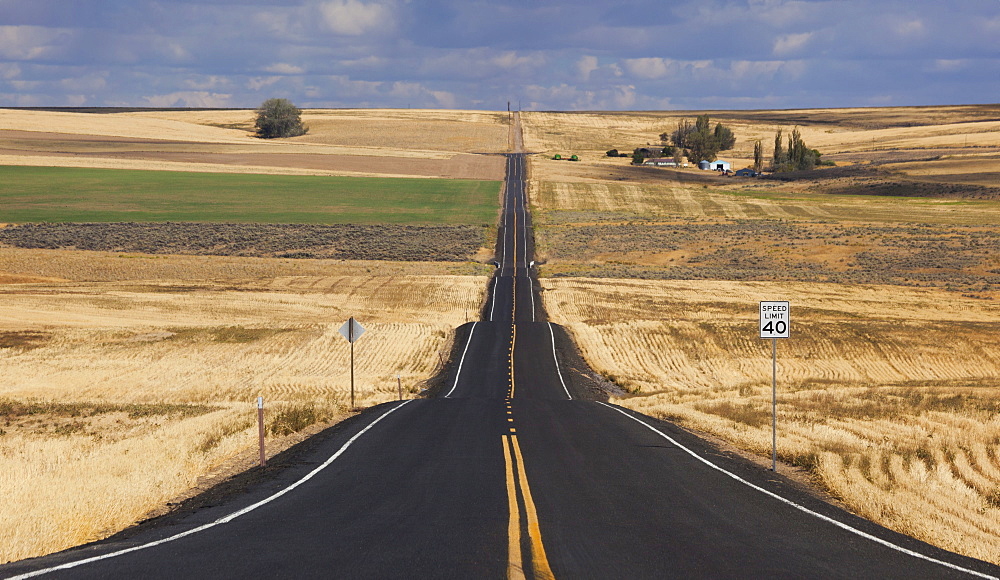 A straight rural road through crops fields, stretching into the distance at Palouse, Washington, Palouse, Washington, USA