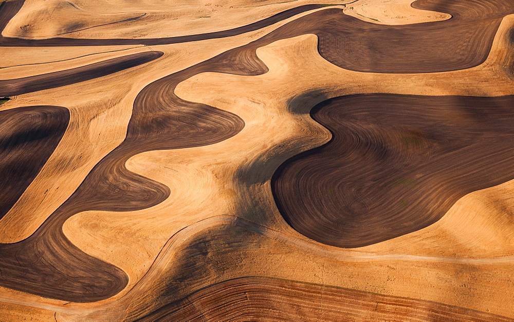 Farmland landscape, with ploughed fields and furrows in Palouse, Washington, USA. An aerial view with natural patterns, Palouse, Washington, USA