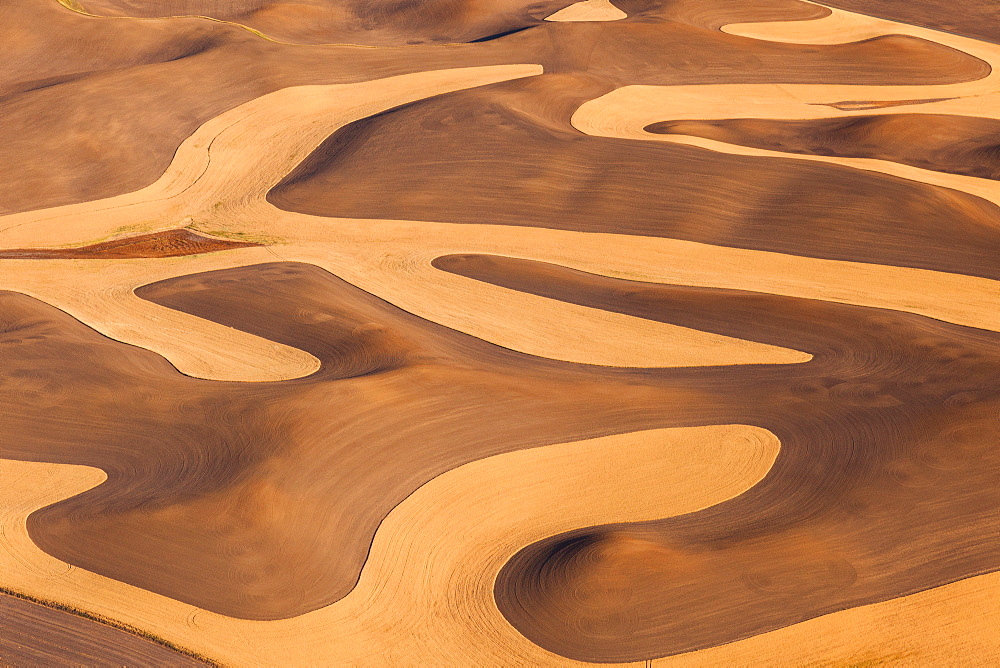 Farmland landscape, with ploughed fields and furrows in Palouse, Washington, USA. An aerial view with natural patterns, Palouse, Washington, USA