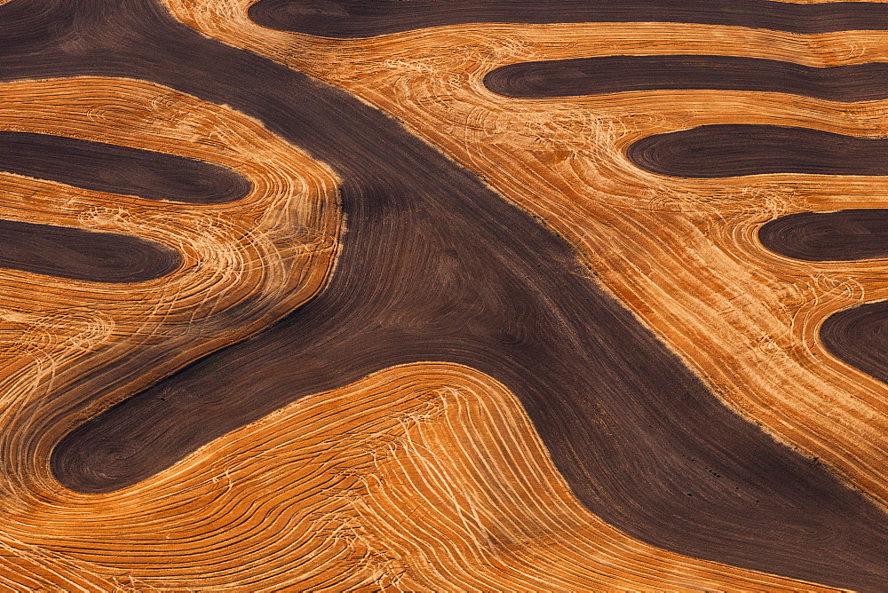 Farmland landscape, with ploughed fields and furrows in Palouse, Washington, USA. An aerial view with natural patterns, Palouse, Washington, USA