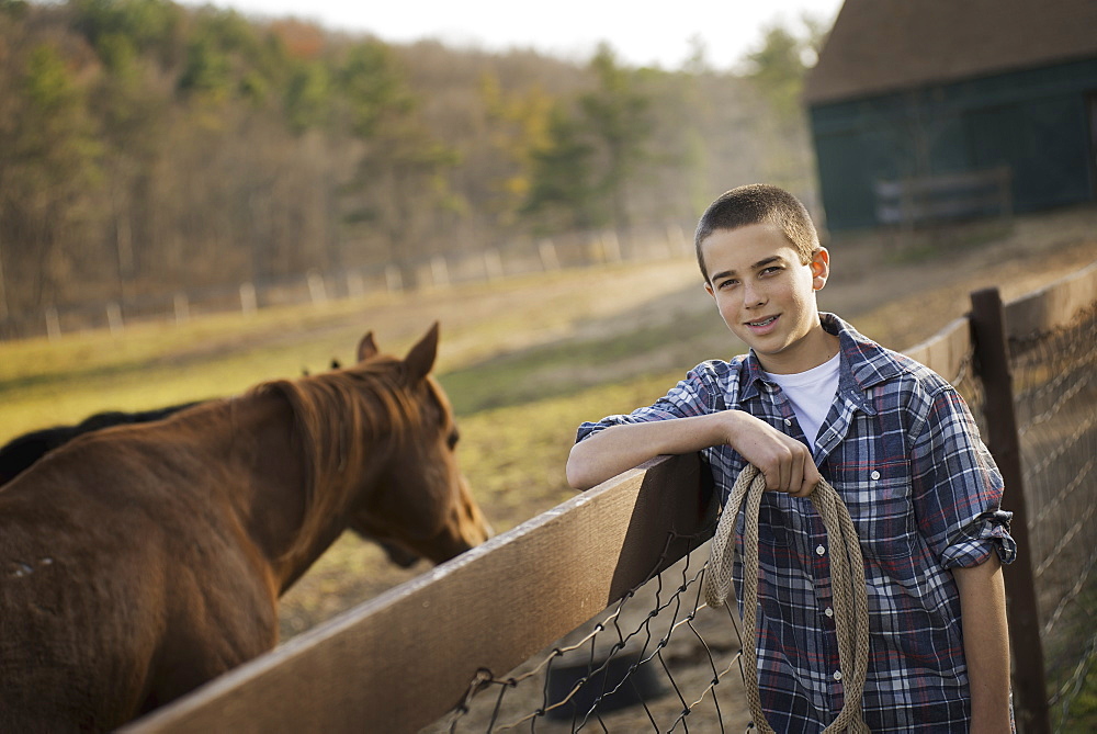 A boy standing by the fence of a horse paddock. A bay horse, Saugerties, New York, USA