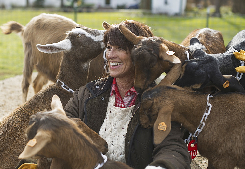 Farmer working and tending to the animals, Pine Bush, New York, USA