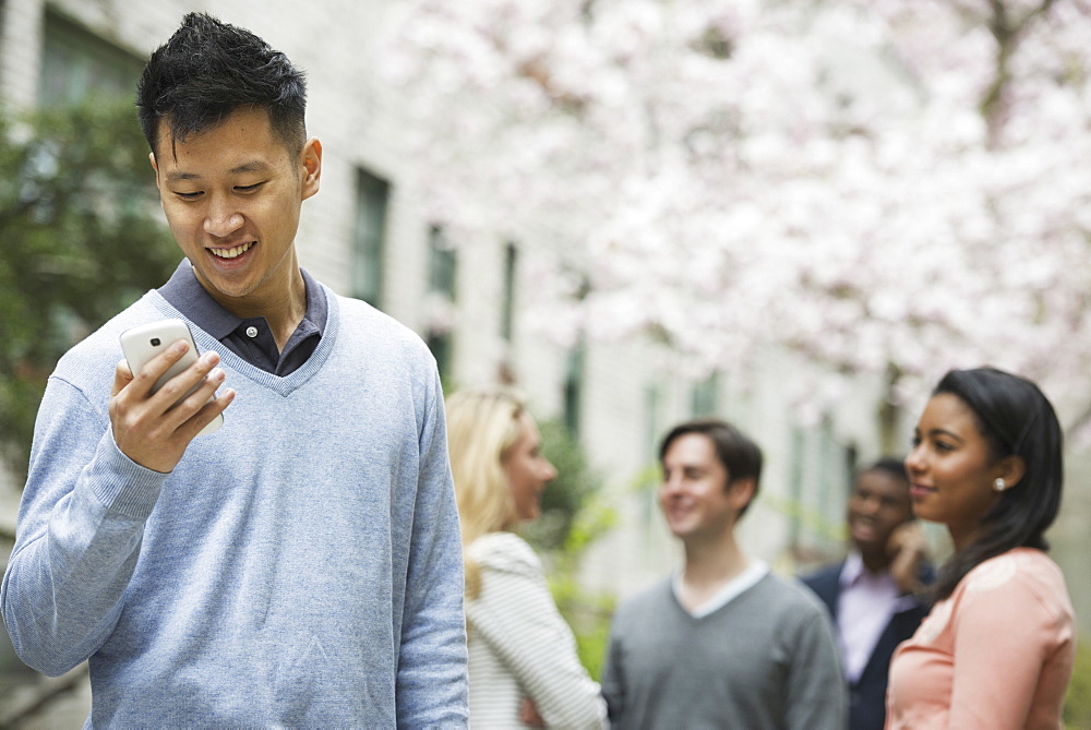 City life in spring. Young people outdoors in a city park. A man checking his cell phone. Four people under a tree in blossom, New York city, USA