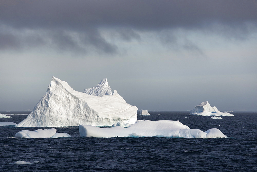 Icebergs on the waters of the Southern Ocean, Icebergs, Antarctica, 