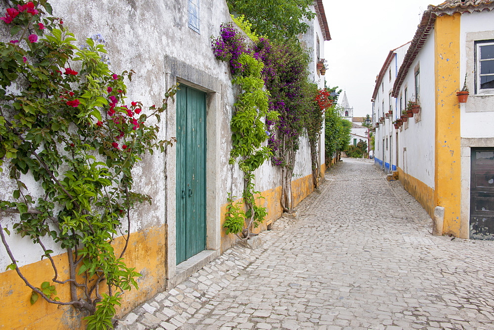 A quiet narrow street of traditional houses in the village of Sonega, Sonega, Obidos, Portugal