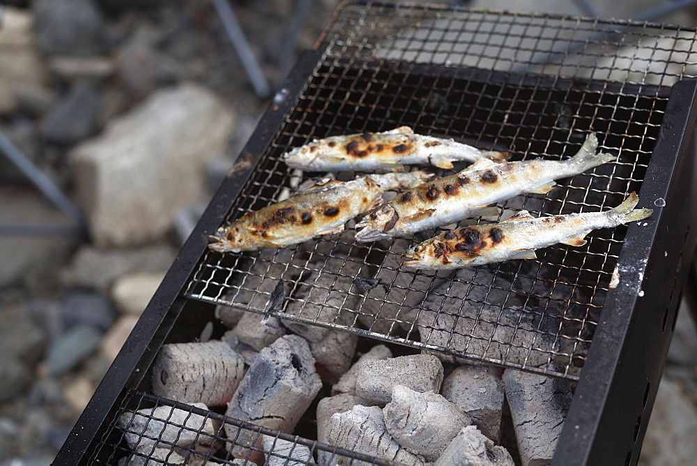 Grilled fish on a barbecue at a picnic, Kyoto, Honshu Island, Japan