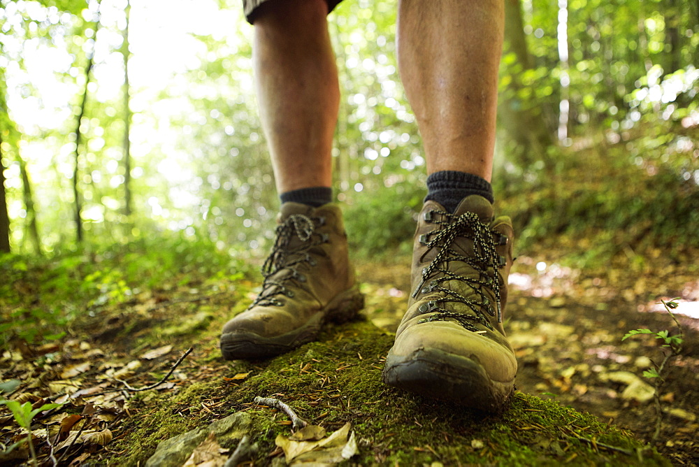 Close up of a man's feet in hiking boots on a woodland path in summer, Gloucestershire, England