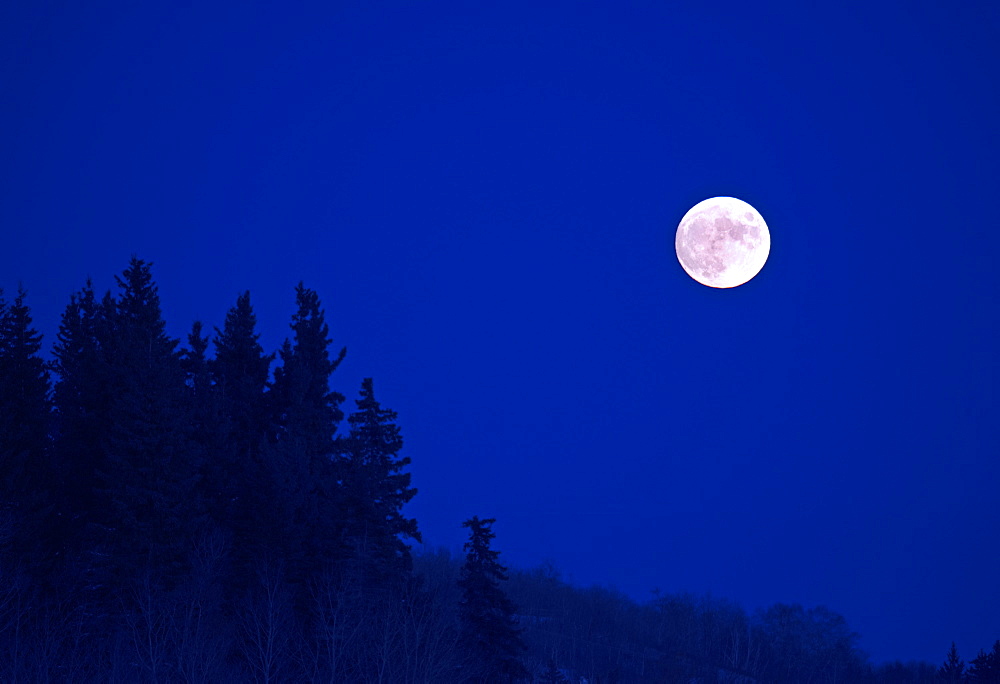 A full moon in a dark blue night sky, Full Moon, Manitoba, Canada