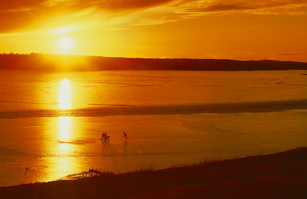 Three people and a dog playing pond hockey on the ice of a frozen lakePond hockey, Saskatchwan, Canada