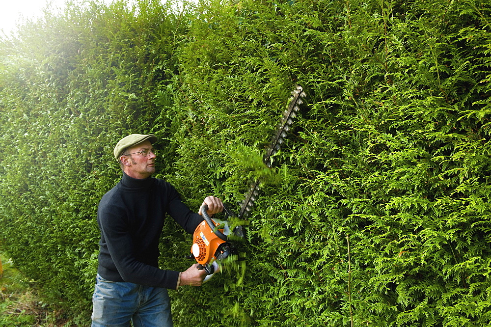 A man trimming a tall hedge with a motorized hedge trimmerHedge trimming, Gloucestershire, England