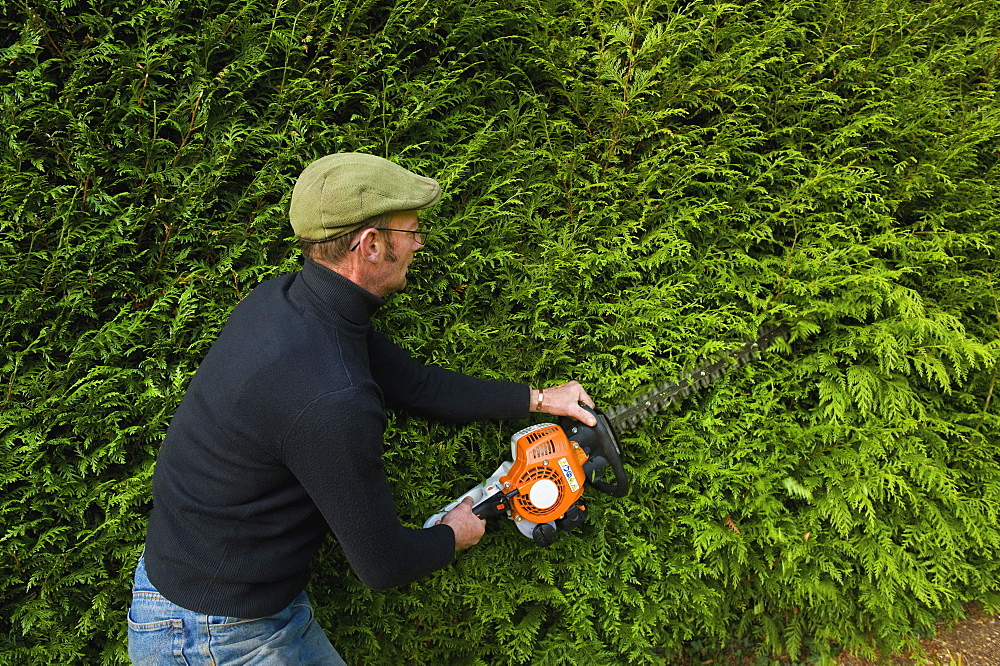 A man trimming a thick green hedge with a motorized hedge trimmerHedge trimming, Gloucestershire, England