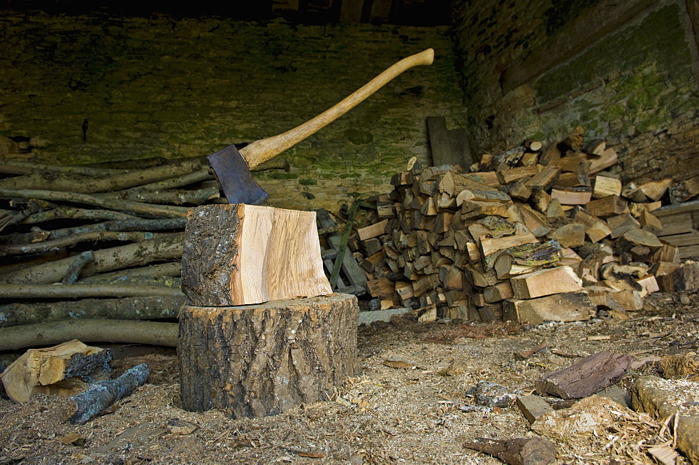 Axe stuck in a piece of wood on top of a chopping block, a pile of logs and chopped woodWood chopping, Gloucestershire, England