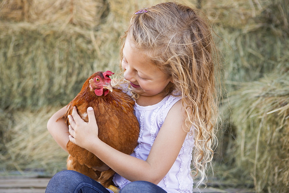 A young girl holding a chicken in a henhouse, Texas, USA