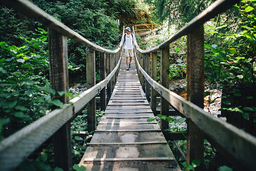 Man walking across small foot bridge in lush temperate rainforest in Oregon, Oswald West State Park, Tillamook County, Oregon, USA