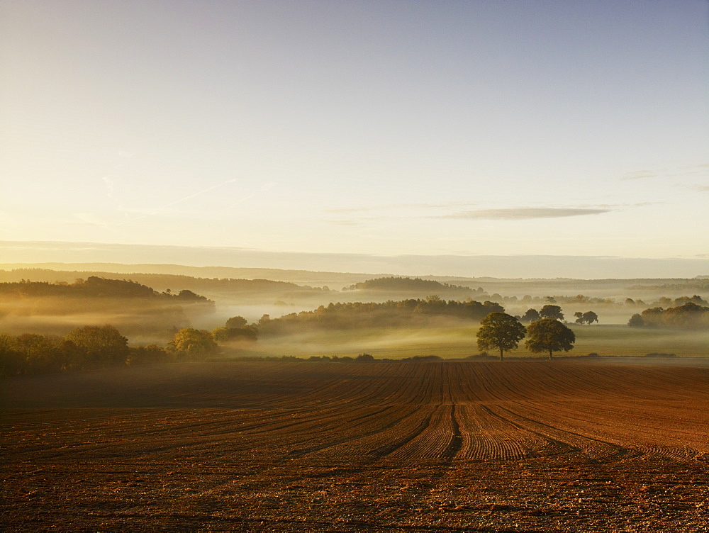 A ploughed field and view over surrounding undulating hills, at dawn with a mist rising from the land, Field Landscape, England