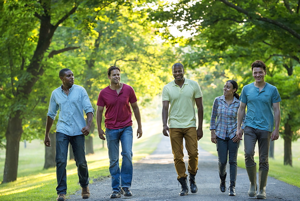 Five people walking down a tree lined avenue in the countryside, Woodstock, New York, USA